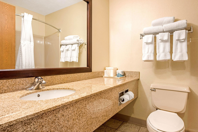 Bathroom 4, Quality Inn & Suites New Castle, Lawrence