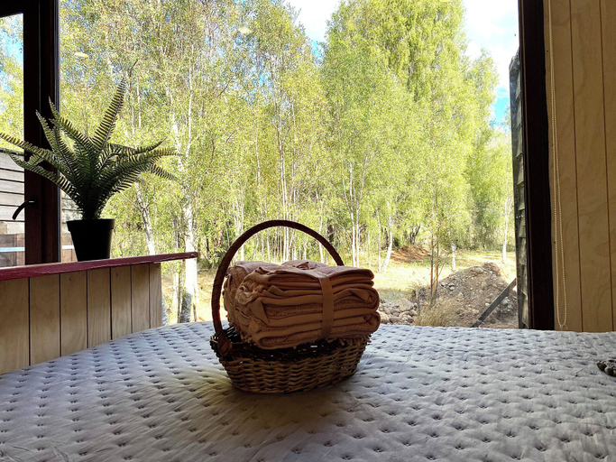 Others 5, Refugio 14 With hot tub in the Forest, Valdivia