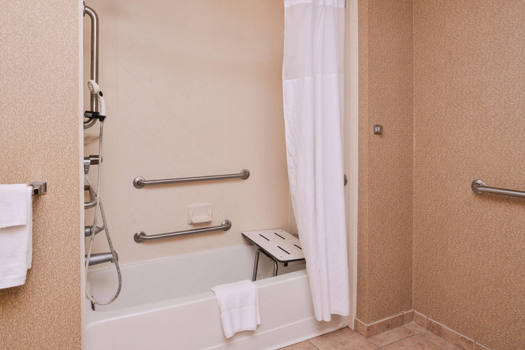 Bathroom 4, Hampton Inn Jackson, Clarke
