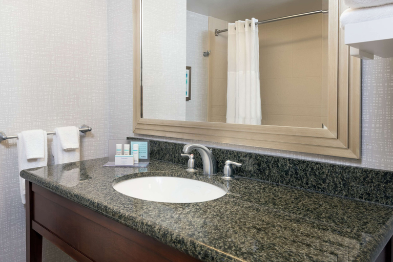 Bathroom 4, Hampton Inn & Suites Orlando Airport @ Gateway Village, Orange