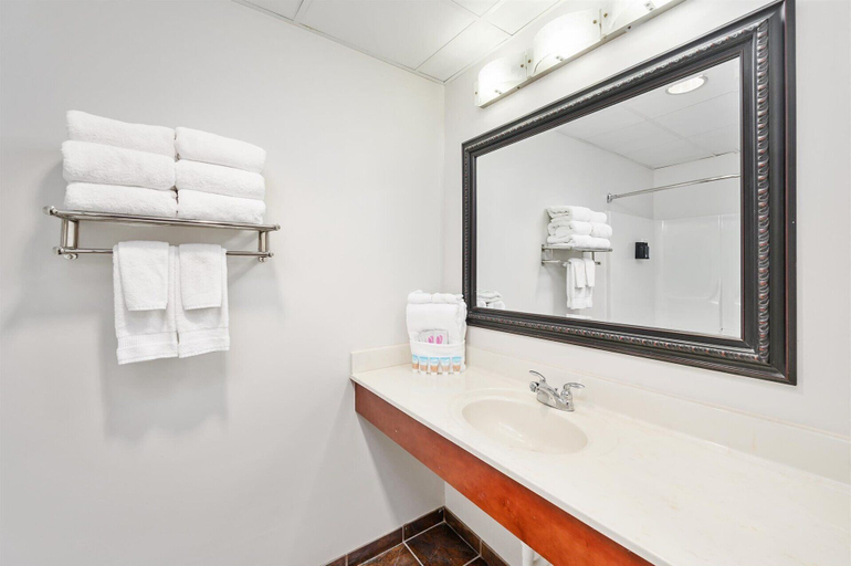 Bathroom 5, Monte Carlo Condos, Worcester