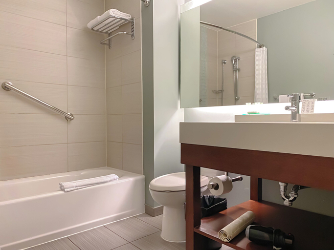 Bathroom 4, Hyatt Place San José/Pinares, La Unión