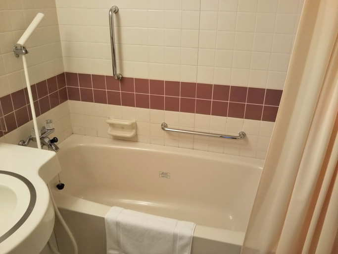 Bathroom 5, Saku Grand hotel, Saku