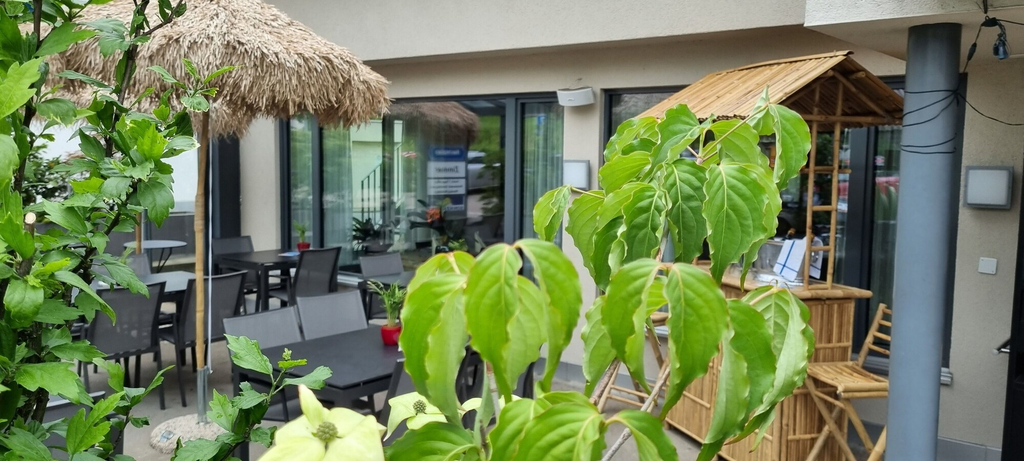 Exterior 4, Apartment Dufour, Rheintal