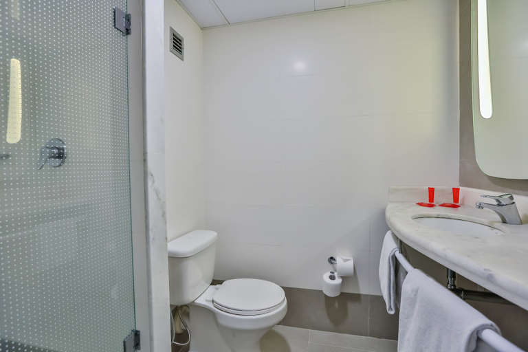 Bathroom 5, Ibis Sao Paulo Congonhas, São Paulo