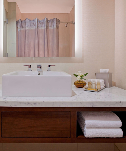 Bathroom 5, Hyatt Regency Morristown, Morris