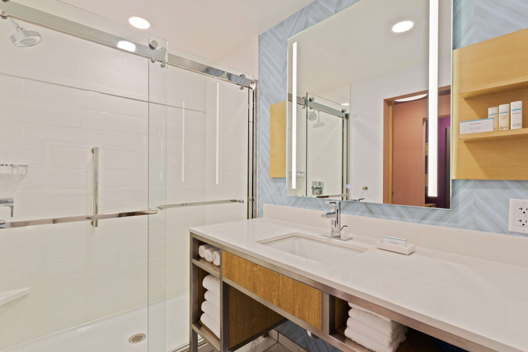 Bathroom 4, Hilton Garden Inn Homestead, Miami-Dade