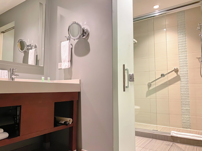 Bathroom 4, Hyatt Place San José/Pinares, La Unión