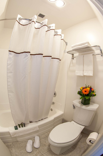 Bathroom 4, Hotel Focus SFO, San Mateo