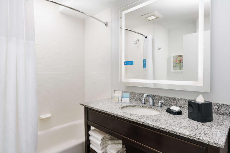 Bathroom 4, Hampton Inn Washington, D.C./White House, Washington D.C.