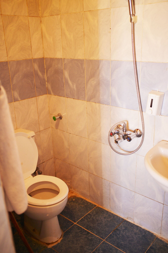Bathroom, Anakato Nubian Dream, Aswan