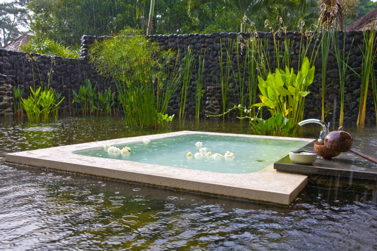 Swimming Pool 14