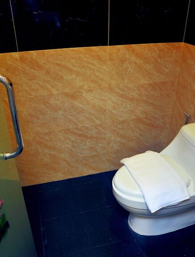Bathroom 5, Nok Resort & Hotel, San Sai