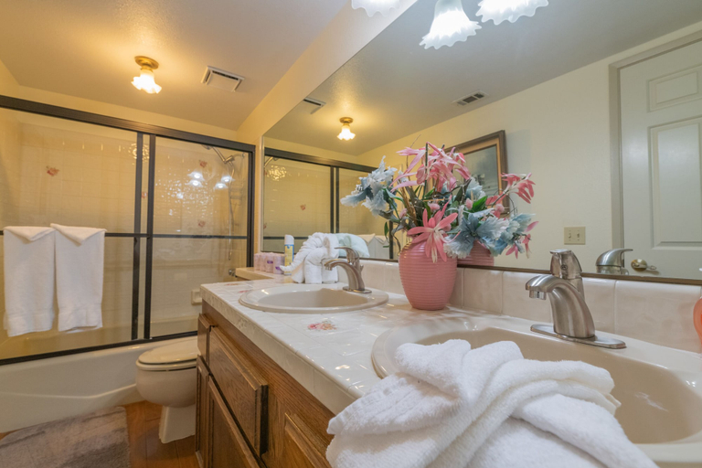 Bathroom 4, Lakefront Viking Oasis Condo, San Bernardino