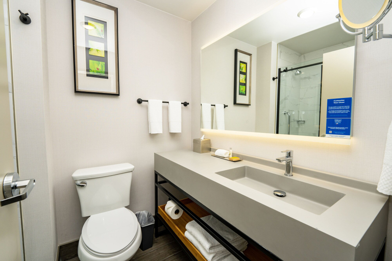 Bathroom 4, DoubleTree by Hilton San Francisco South Airport Blvd, San Mateo