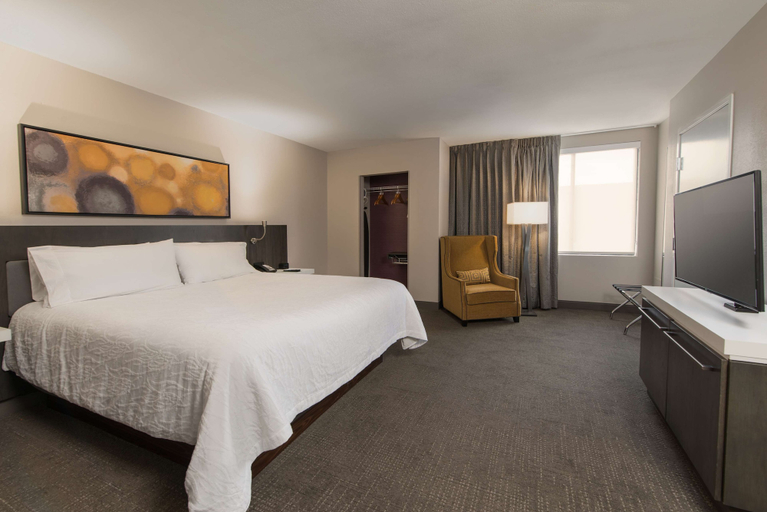 Bedroom 4, Hilton Garden Inn Las Colinas, Irving