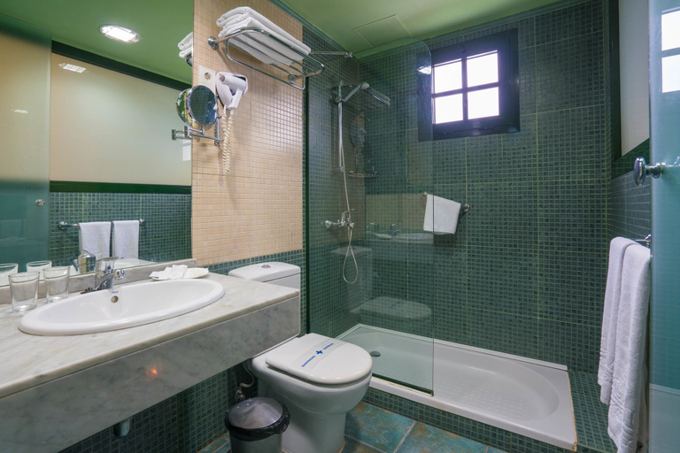 Bathroom 5, Relaxia Lanzaplaya, Las Palmas