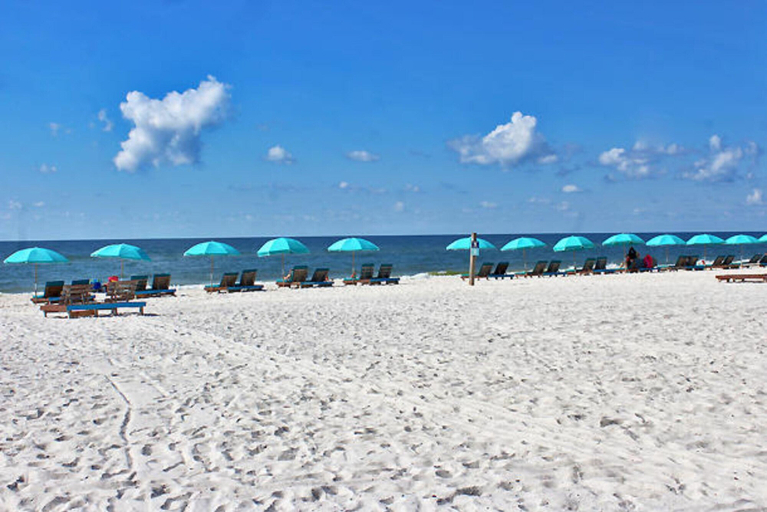 Others 5, Ocean Reef 304, Baldwin