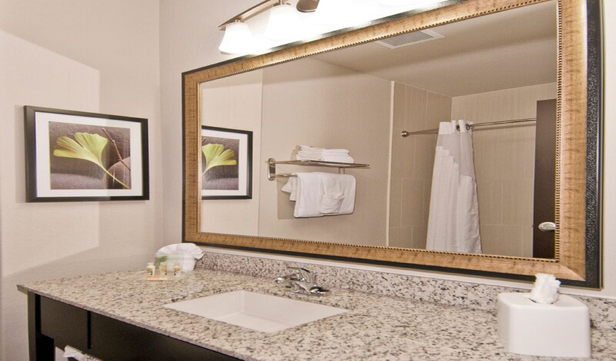 Bathroom 3, Holiday Inn AUSTIN AIRPORT by IHG, Travis