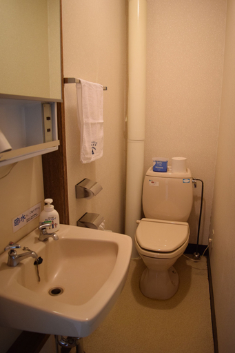Bathroom 4, Hotel Parkway, Teshikaga