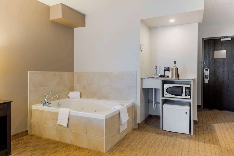 Bathroom 4, Best Western Pembroke Inn & Conference Centre, Renfrew