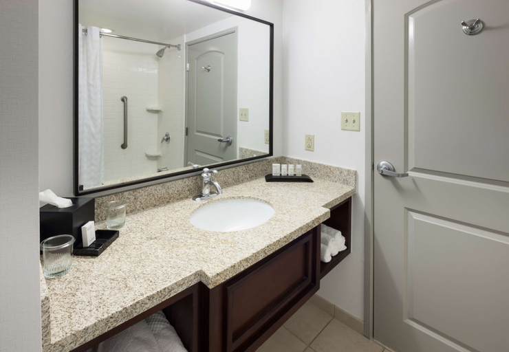 Bathroom 4, Embassy Suites by Hilton Tampa Brandon, Hillsborough
