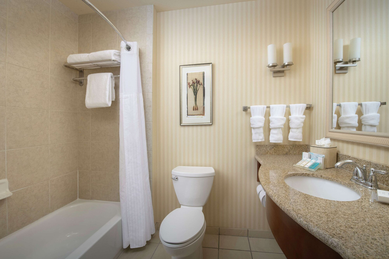 Bathroom 4, Hilton Garden Inn Odessa, Ector