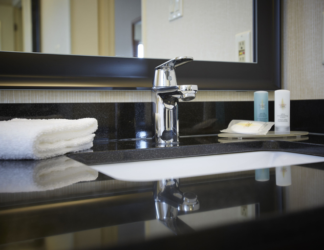 Bathroom 4, Comfort Inn Moncton East, Westmorland