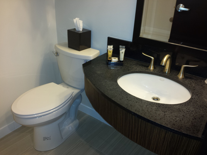 Bathroom 4, M Hotel Buffalo, Erie