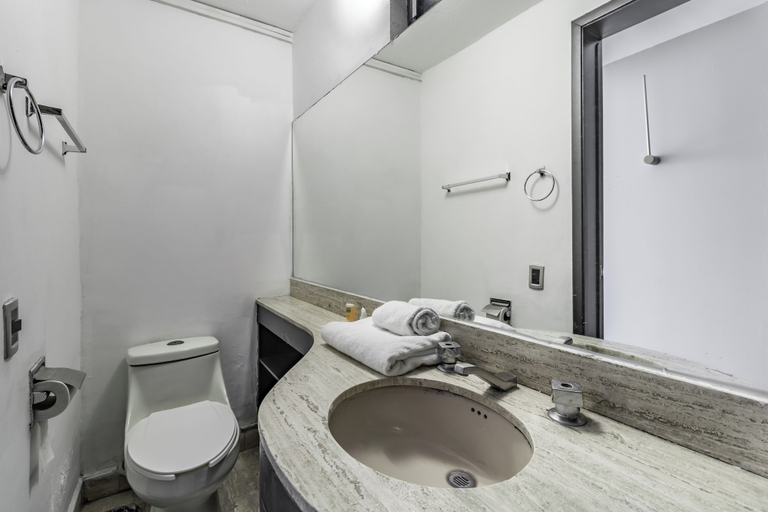Bathroom 4, Singular Goldsmith, Mexico City