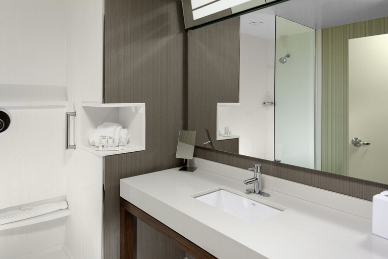 Bathroom 4, Residence Inn by Marriott St. Louis West County, Saint Louis