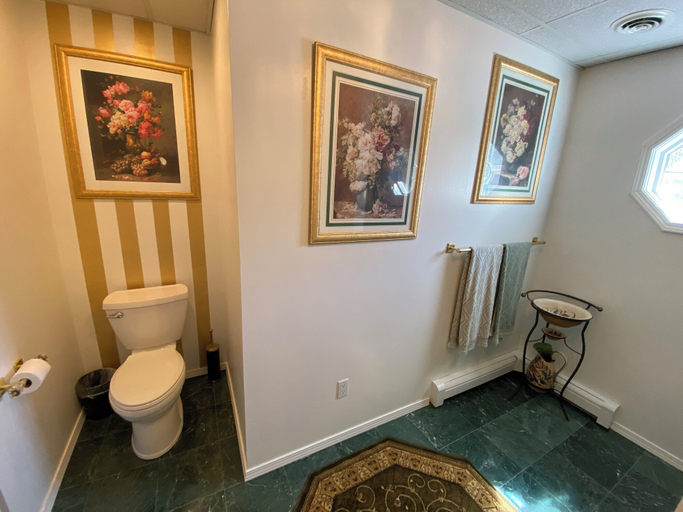 Bathroom 4, Toad Hall Manor, Silver Bow