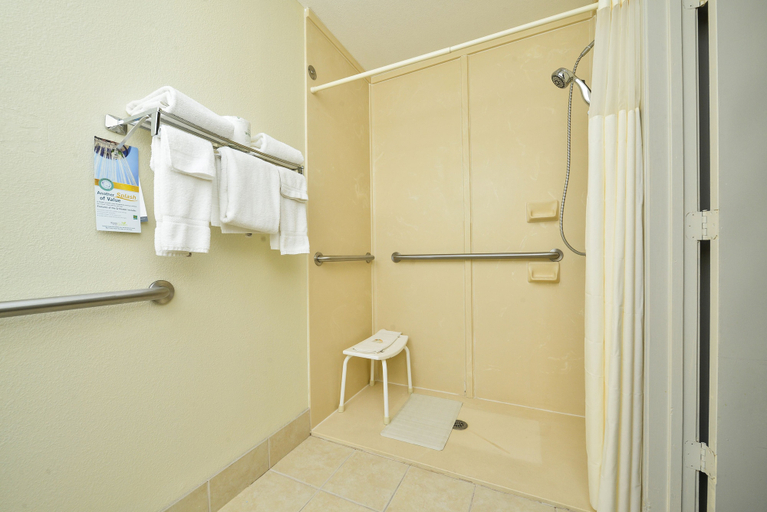 Bathroom 4, Quality Inn & Suites Waco North, McLennan