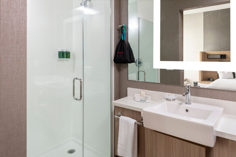 Bathroom, SpringHill Suites by Marriott Charlotte Huntersville, Mecklenburg