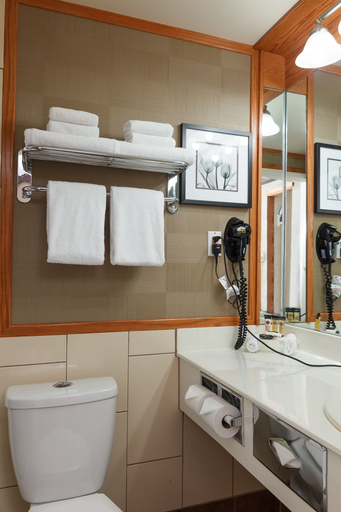 Bathroom 4, The Glenmore Inn & Convention Centre, Division No. 6