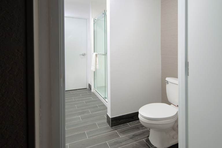 Bathroom 5, Hilton Garden Inn Las Colinas, Irving