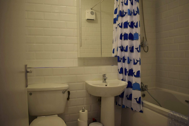 Bathroom, 2 Bed Historical Christchurch With Parking, Dublin