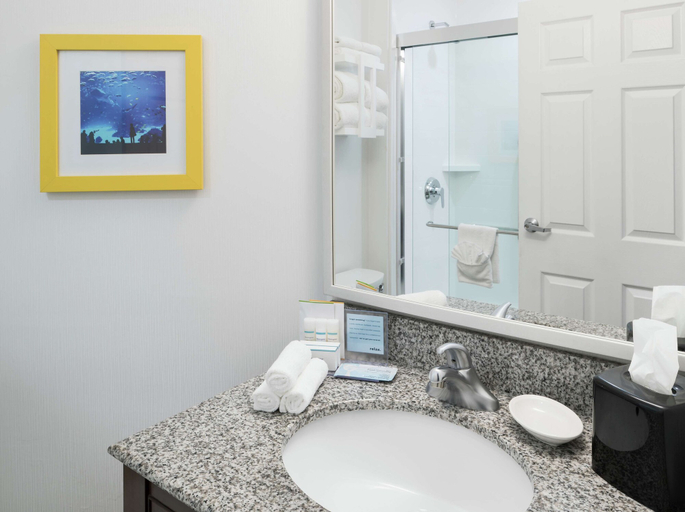 Bathroom 4, Hampton Inn & Suites Atlanta-Downtown, Atlanta