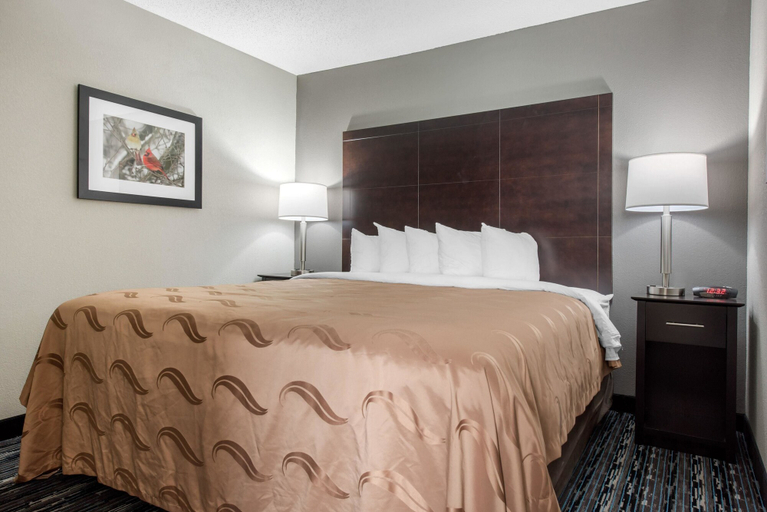 Bedroom 3, Quality Inn & Suites Brownsburg - Indianapolis West, Hendricks