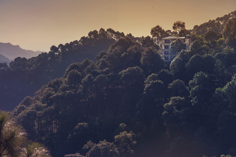 Others 3, The Lalita's Majestic Pines, Solan