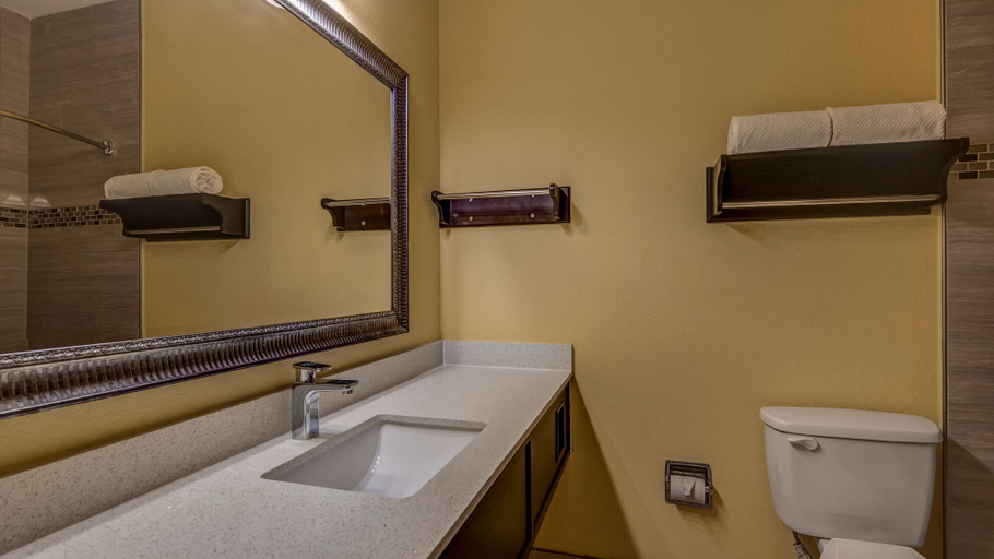 Bathroom 4, SureStay Plus Hotel by Best Western Alvin, Brazoria