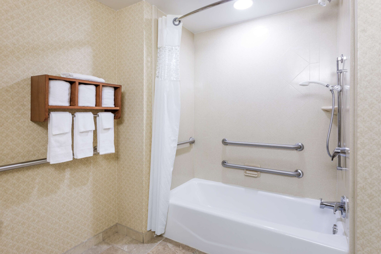 Bathroom 4, Hampton Inn Moss Point Pascagoula, Jackson