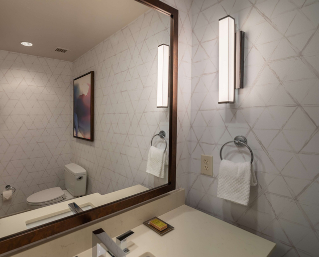 Bathroom 4, Hilton Asheville Biltmore Park, Buncombe