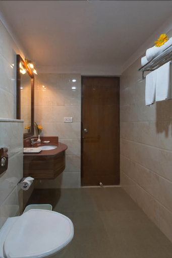 Bathroom 3, Viva Hotel, South Goa