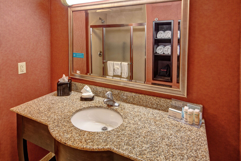 Bathroom 4, Hampton Inn Jacksonville-Anniston Area, Calhoun