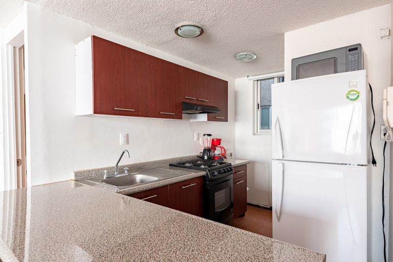 Others 3, JUUB Amazing Apartment at Reforma, Mexico City
