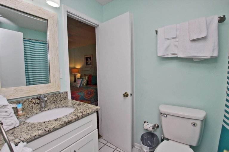 Bathroom 3, Palmetto 306, Baldwin