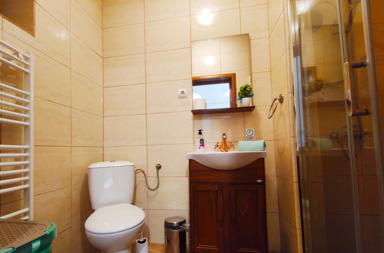 Bathroom 3, Buon Studio Sibiu, near train station and Small Square Old Town, Sibiu