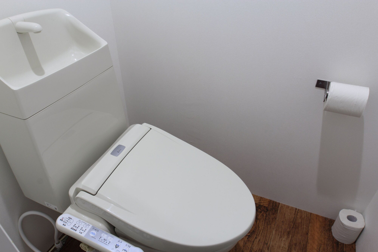 Bathroom 4, plumhostel, Odawara