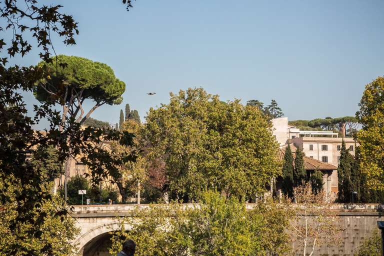 Exterior & Views 2, Palazzo Baj in Trastevere, Roma